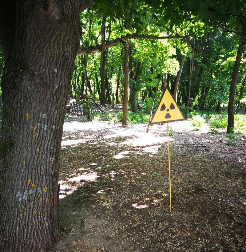 Radiation danger sign in a forest in Chernobyl