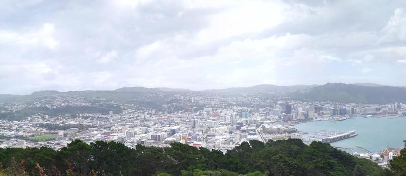 Wellington's city centre, a stark contrast to the surrounding suburbs